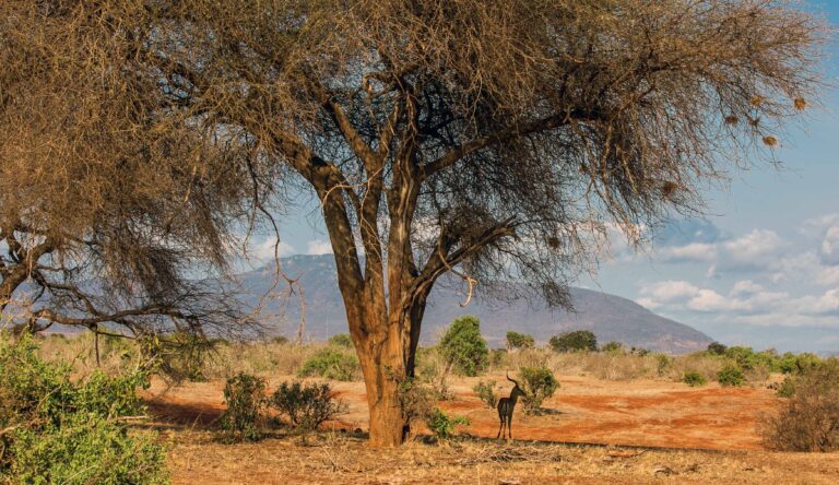 Miłość czyni życie bożym i pięknym