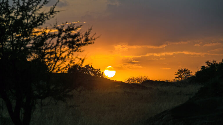 Już nie będzie głodu